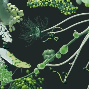 Pristatymas_Mikromiestas